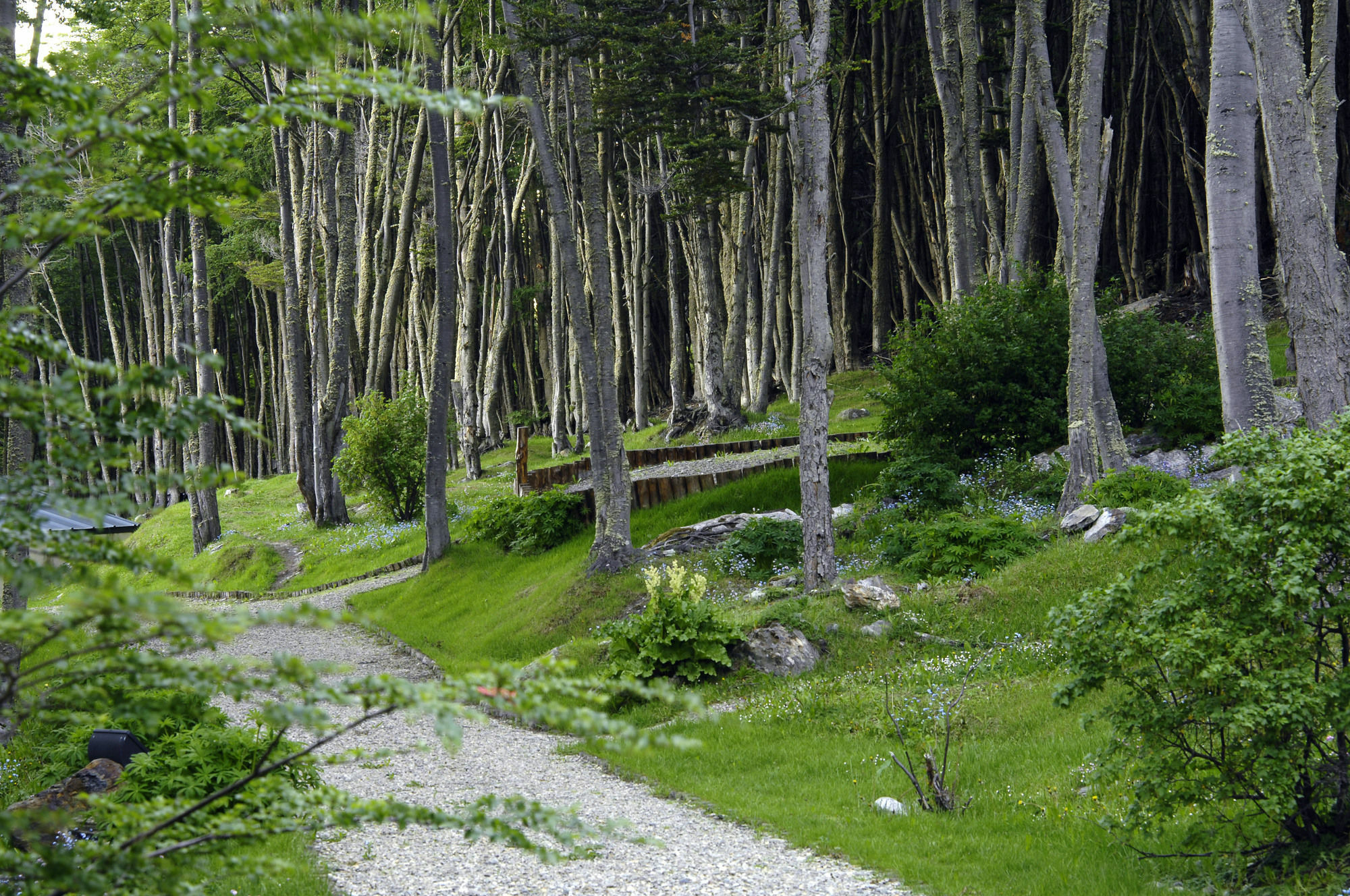 Las Hayas Ushuaia Resort מראה חיצוני תמונה
